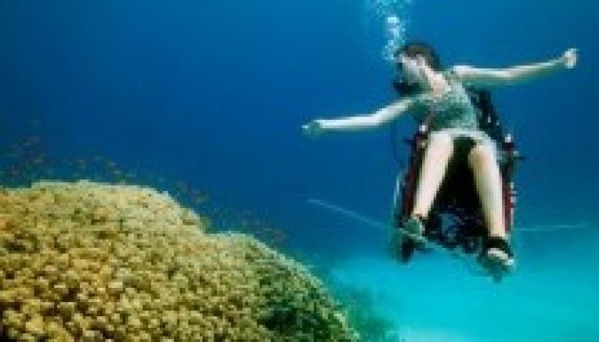 Lehetséges a búvárkodás kerekesszékben (GALÉRIA)