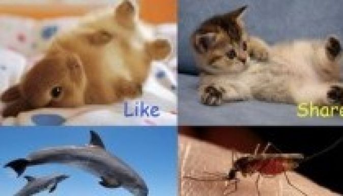 A Facebooknak elege lett a lájkvadászokból