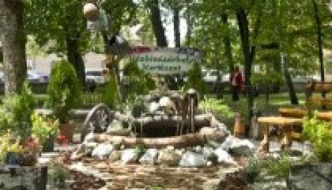 Dísznövény-kiállítás és vásár Kézdivásárhelyen