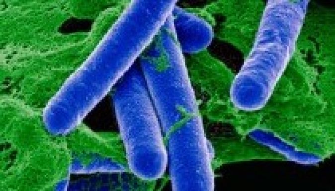 Botulizmussal került kórházba egy szatmári férfi