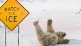 Megtréfáltál valakit április elsején? Megírjuk!