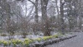 A hét végén már esni fog, néhol havazhat is