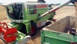 A gabona mentette meg a kereskedelmi mérleget