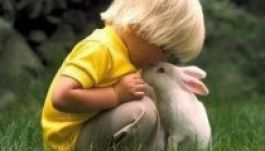 Videós locsolóversmondó-verseny indul kicsiknek