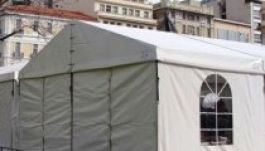 Folytatják a kutyák ingyenes mikrocsipelését Nagyváradon