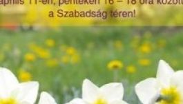 Csíki civilszervezetek nagyböjti szeretetmorzsája