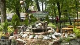 Dísznövény-kiállítás és vásár Kézdivásárhelyen