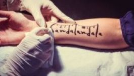 Életre szóló ingyen kempingezési lehetőség Vama Vechén