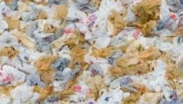 Száműzné az ingyenes nejlonzacskókat az üzletekből az EU