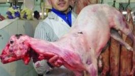 Romlott húst és román feliratot keresnek a hatóságok