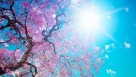 Visszatér a meleg idő húsvét másodnapjára