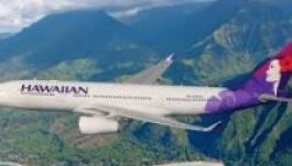 Repülőgép kerekein utazott egy otthonról elszökött tinédzser