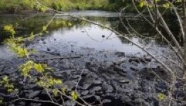 Föld napja: világméretű fényképalbum készítésére hív a NASA