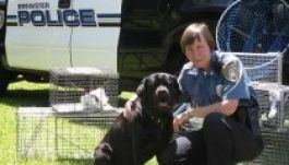 Hamarosan az állatoknak is lesz hivatalos rendőrsége