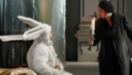 Marosvásárhelyi és zentai előadások mutatkoznak be Miskolcon