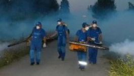 Már támad a szúnyog és a kullancs Erdélyben