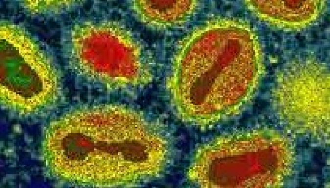 Megkegyelmeznek a gyilkos vírusnak?