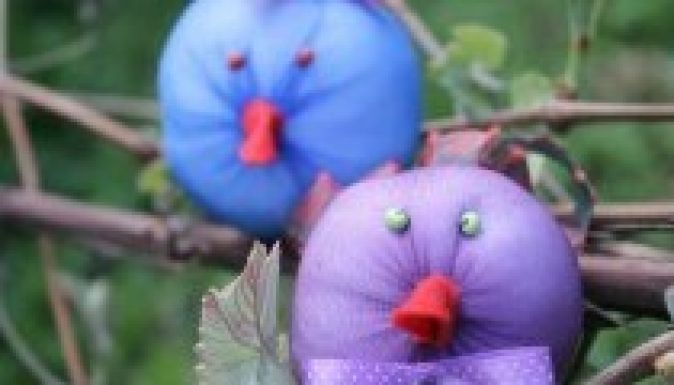 Madarak és Fák Napja Sepsiszentgyörgyön