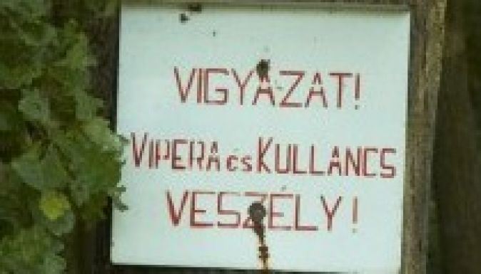 Háromszéken is elkezdődött a kullancs- és a viperaszezon