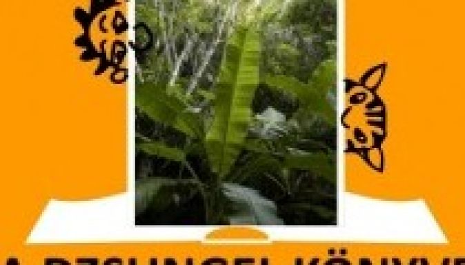 A dzsungel könyve a Kolozsvári Rádióban