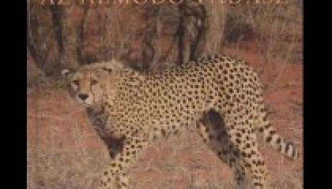 KISEBBSÉGBEN: Az ősök nem segítenek...