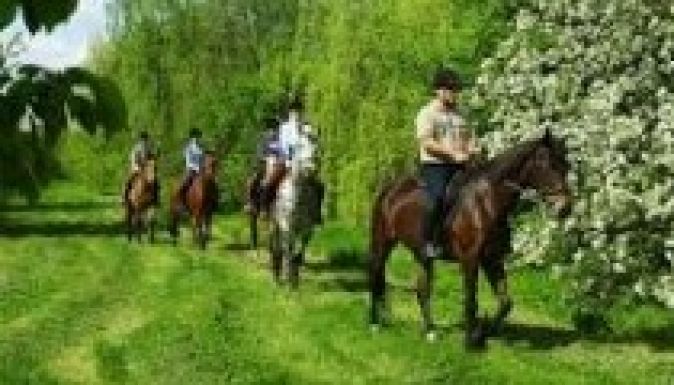 Lovasiskolát akarnak létesíteni Háromszéken