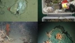 Sokkoló kutatás: tele van petpalackkal a tengerfenék