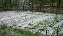 Májusi tél: havazott hétfő reggel Hargitafürdőn