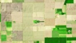 Hogyan lett gitár alakú egy argentin erdő?