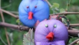 Madarak és Fák Napja Sepsiszentgyörgyön