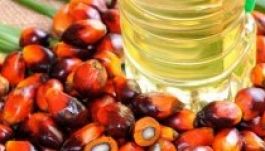 Rohamosan nő a pálmaolaj-fogyasztás az egész világon