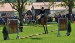 Lovasnapot rendeztek Szépvízen