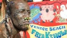 Lakótársat keres a „cirkuszi mutatvány”