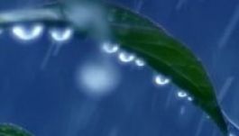 Esőre, felhőszakadásra számíthatunk az országban