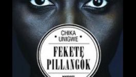 KISEBBSÉGBEN: Afrózás, policy, kultúra, négritüd…