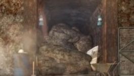 Százak érintettek a török bányabalesetben