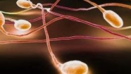 Csökkentheti a termékenységet a naptej és a fogkrém a férfiaknál