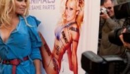 Gyerekkorában molesztálták és megerőszakolták Pamela Andersont