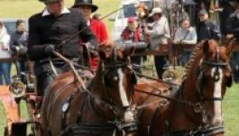 A gyergyói Bajkó Tibor az ország legjobb fogathajtója