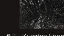 Sepsiszentgyörgyön Kusztos Endre grafikusművész kiállítása