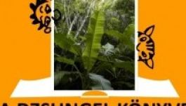 A dzsungel könyve a Kolozsvári Rádióban