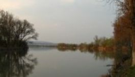 Szombaton önkéntes takarítást szerveznek a Maros-parton