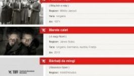 Magyar filmeket is vetítenek a TIFF 13. kiadásán