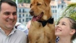 Fődíjat nyert Mundruczó filmje Cannes-ban a saját kategóriájában