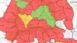 Az RMDSZ Szilágy megyében is győzött