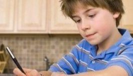 Július végéig lehet pályázni a Nyilas Misinél