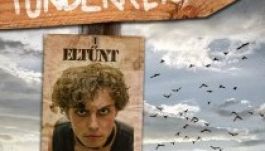 Zenés mesejáték gyermeknapra Szatmárnémetiben