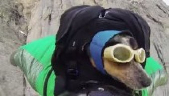 A svájci hegyek fölött röpködött egy kutya (VIDEÓ)