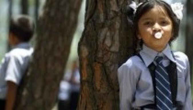 Ennyien még sosem öleltek fát egyszerre (GALÉRIA)