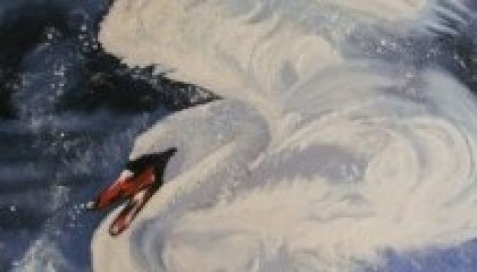 Hány embert ölnek meg évente madarak?